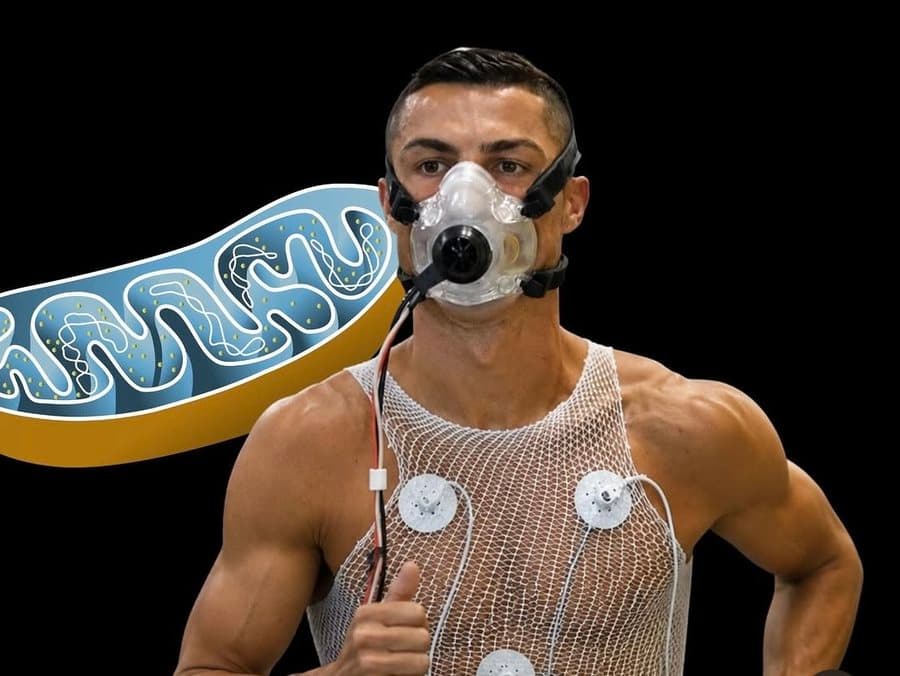 Cristiano Ronaldo shpenzon 1 milion dollarë në vit për të qëndruar në formë
